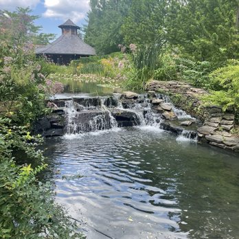 Elite Experience: Slow Motion @ Grounds For Sculpture - Yelp Events Near Me - Hamilton Township, New Jersey