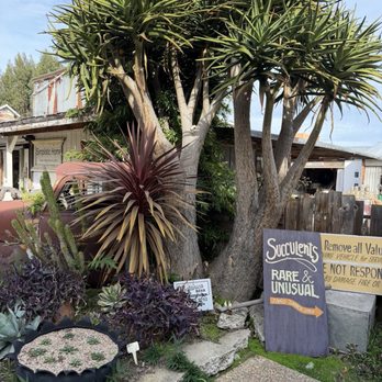 Grow - Rare succulents - Nurseries & Gardening Near Me - Cambria, California