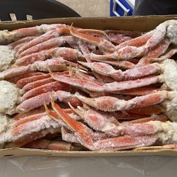Medium snow crab Medium snow crab
