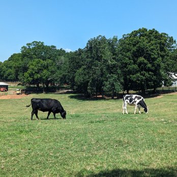 Crandall Bowles Children's Farm - Attraction Farms Near Me - Fort Mill, South Carolina