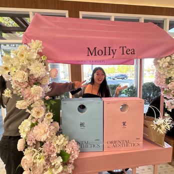 Molly Tea - Bubble Tea Near Me - Cupertino, California Molly Tea - Bubble Tea Near Me - Cupertino, California
