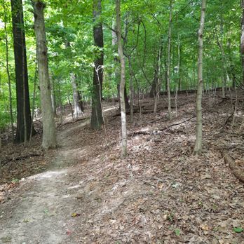 Jefferson Memorial Forest - Parks Near Me - Fairdale, Kentucky Jefferson Memorial Forest - Parks Near Me - Fairdale, Kentucky