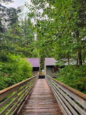 Glacier Bay Lodge & Tours by null