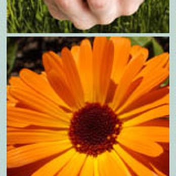 JoHannah Reilly ND, LAc - Naturopathic/Holistic Near Me - Boulder, Colorado JoHannah Reilly ND, LAc - Naturopathic/Holistic Near Me - Boulder, Colorado