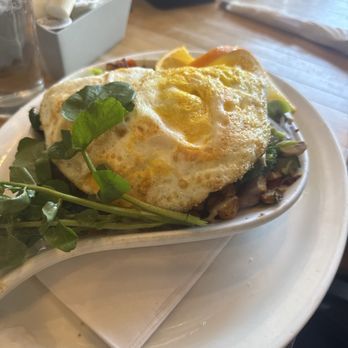 Bryn Mawr Breakfast Club - Blueberry Multi Grain Hotcakes - Breakfast & Brunch Near Me - Chicago, Illinois Bryn Mawr Breakfast Club - Blueberry Multi Grain Hotcakes - Breakfast & Brunch Near Me - Chicago, Illinois