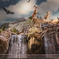 Bass Pro Shops - Inside