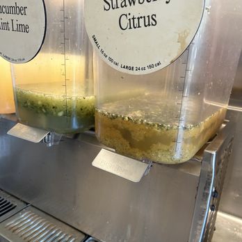 CAVA - Old congealed lemonade - Mediterranean Near Me - Los Angeles, California