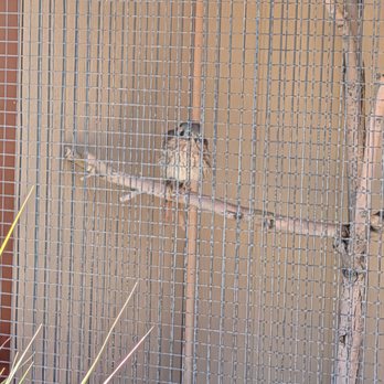 Animal Ark - Zoos Near Me - Reno, Nevada