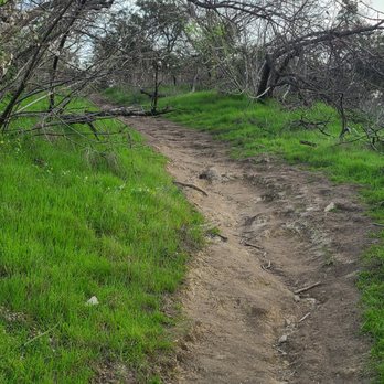 Deervale-Stone Canyon Park - Hiking Near Me - Los Angeles, California