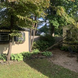 A dogwood fell onto the house. A dogwood fell onto the house.