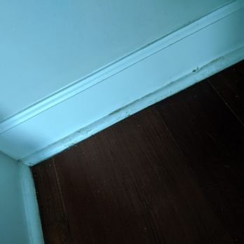 Squeaky Green Cleaning - baseboards still dirty - Office Cleaning Near Me