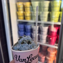Van Leeuwen Ice Cream - Fort Worth - Vegan Planet Earth