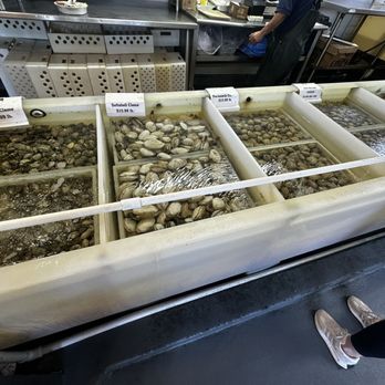 Quality Seafood - Clams - Seafood Markets Near Me - Redondo Beach, California