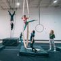 Photo of Suspended Animation Aerials