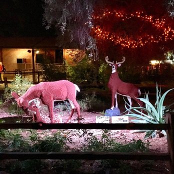 Zoolights - Animals made from legos. Wow! - Zoos Near Me - Phoenix, Arizona