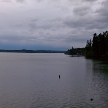 Lochaerie Resort - view from cabin christie (looking west) - Hotels Near Me - Amanda Park, Washington Lochaerie Resort - view from cabin christie (looking west) - Hotels Near Me - Amanda Park, Washington