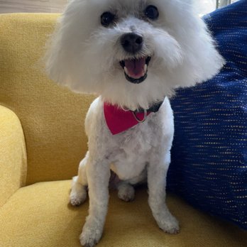 Wesco Grooming - Pet Groomers Near Me - Edgewater, Colorado