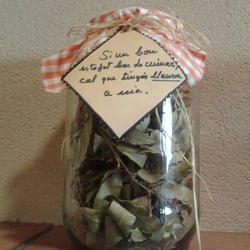 El Nen de Prades - Hi havia una repisa plena de pots amb herbes etiquetades amb receptes