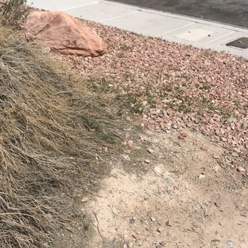 Green Guys - Weeds - Landscaping Near Me - Las Vegas, Nevada Green Guys - Weeds - Landscaping Near Me - Las Vegas, Nevada