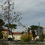 Photo of Piazza Savonarola