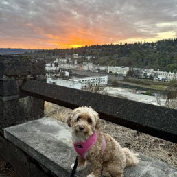 Ruthie overlooking the river.