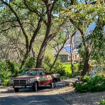 Sacramento Valley Tree Services - An image take. After work completion - Tree Services Near Me Sacramento Valley Tree Services - An image take. After work completion - Tree Services Near Me