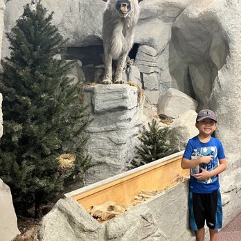 Clark County Museum - Museums Near Me - Henderson, Nevada