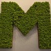 Masonry Grill gift card