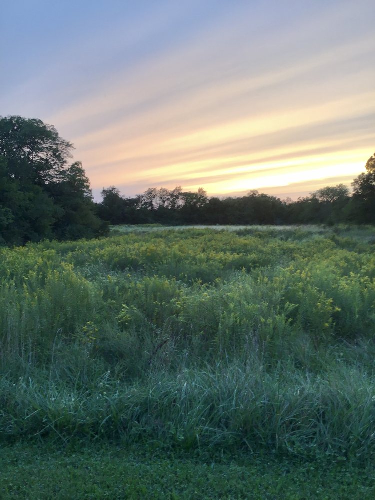 Eolia Hills Bee Farm - beekeeping in Eolia, MO
