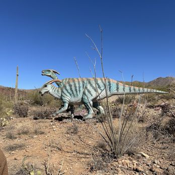 Arizona-Sonora Desert Museum - Museums Near Me - Tucson, Arizona