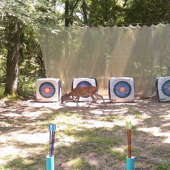 Camp Bette Perot - Summer Camps Near Me - Palestine, Texas Camp Bette Perot - Summer Camps Near Me - Palestine, Texas