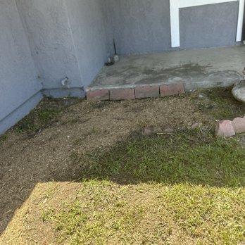 Lucero Tree Care - Tree stumps removal - Tree Services Near Me