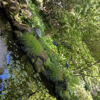 Bellevue Botanical Garden - Scenic places to take in nature - Botanical Gardens Near Me - Bellevue, Washington