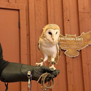 Teton Raptor Center - Zoos Near Me - Wilson, Wyoming Teton Raptor Center - Zoos Near Me - Wilson, Wyoming