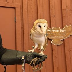 Teton Raptor Center