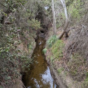 Buena Vista Park - Creek along Agua Hedionda Trail - Parks Near Me - Vista, California