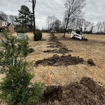 Bluff City Tree & Landscape - a tree being planted in a field - Landscaping Near Me Bluff City Tree & Landscape - a tree being planted in a field - Landscaping Near Me