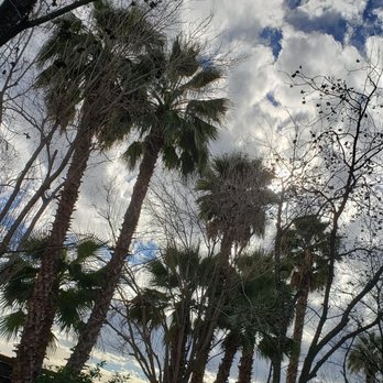 Venue at the Grove - Cloud covered - Venues & Event Spaces Near Me - Phoenix, Arizona
