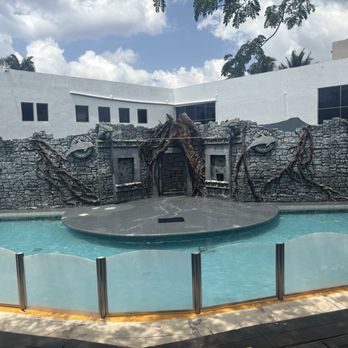 Dolphin Discovery - Aquariums Near Me - Cozumel, ROO Dolphin Discovery - Aquariums Near Me - Cozumel, ROO