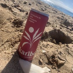 Karibe Kombucha