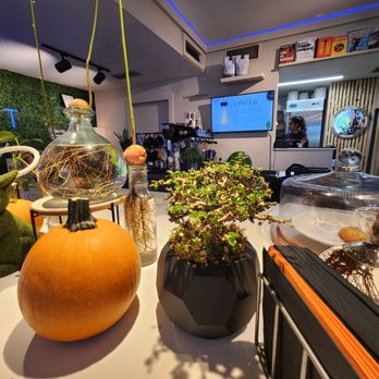 The Hideout Café by Team Vinchay - a variety of plants - Coffee & Tea Near Me - Miami, Florida