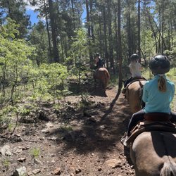 Pinetop Lakes Equestrian Center - Trail Ride
