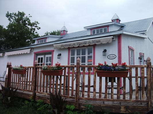 Le Vignoble du Mitan by null