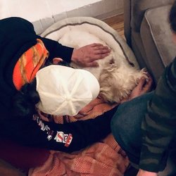 Veterinary Cannabis Authority - Marc visiting with Cotton on his last days. Cotton trusted him from the moment they met.