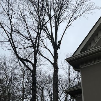 Exceed Tree Care - Tree Services Near Me Exceed Tree Care - Tree Services Near Me