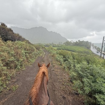 Kualoa Ranch - Tours Near Me - Kaneohe, Hawaii Kualoa Ranch - Tours Near Me - Kaneohe, Hawaii