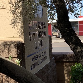 Blue Cross Veterinary Clinic - Veterinarians Near Me - Phoenix, Arizona Blue Cross Veterinary Clinic - Veterinarians Near Me - Phoenix, Arizona