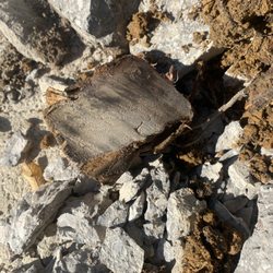 Root problem.