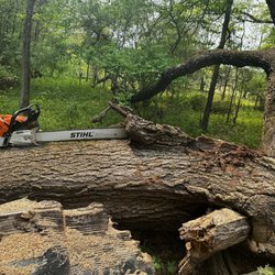 Tree-Mergency