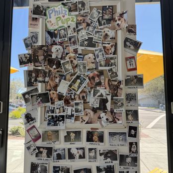 Philz Coffee - Doggy wall. - Coffee & Tea Near Me - Menlo Park, California Philz Coffee - Doggy wall. - Coffee & Tea Near Me - Menlo Park, California